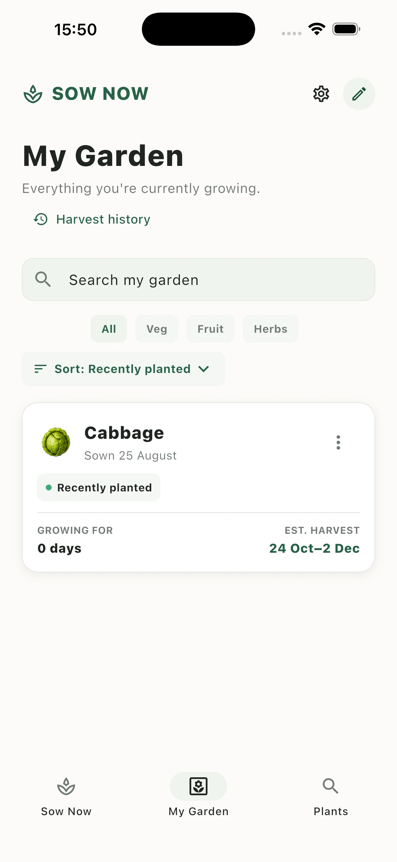 Cabbage growing details and planting schedule in Sow Now
